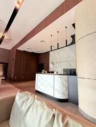 Pullman Residences Newton (D11), Apartment #546478521